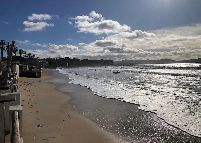 Étoile de la plage